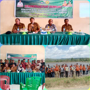 Peningkatan Produktivitas Padi: Dinas Pertanian Bombana Gelar Demplot Benih Terstandar