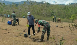 Babinsa Kabaena Galakkan Penghijauan, Tanam Pohon di Desa Rahantari