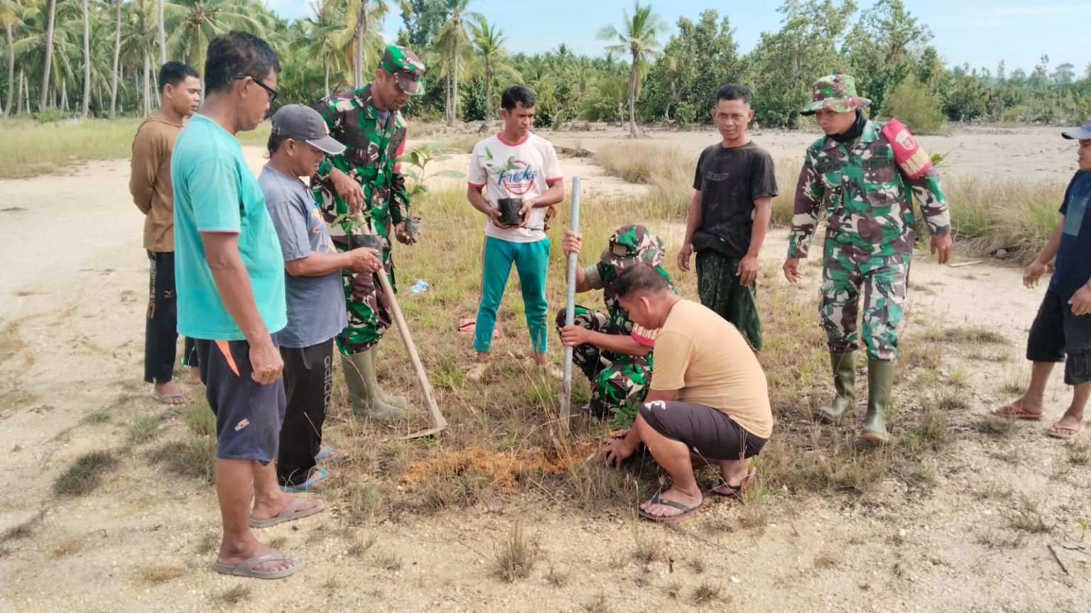 kegiatan penanaman pohon penghijauan