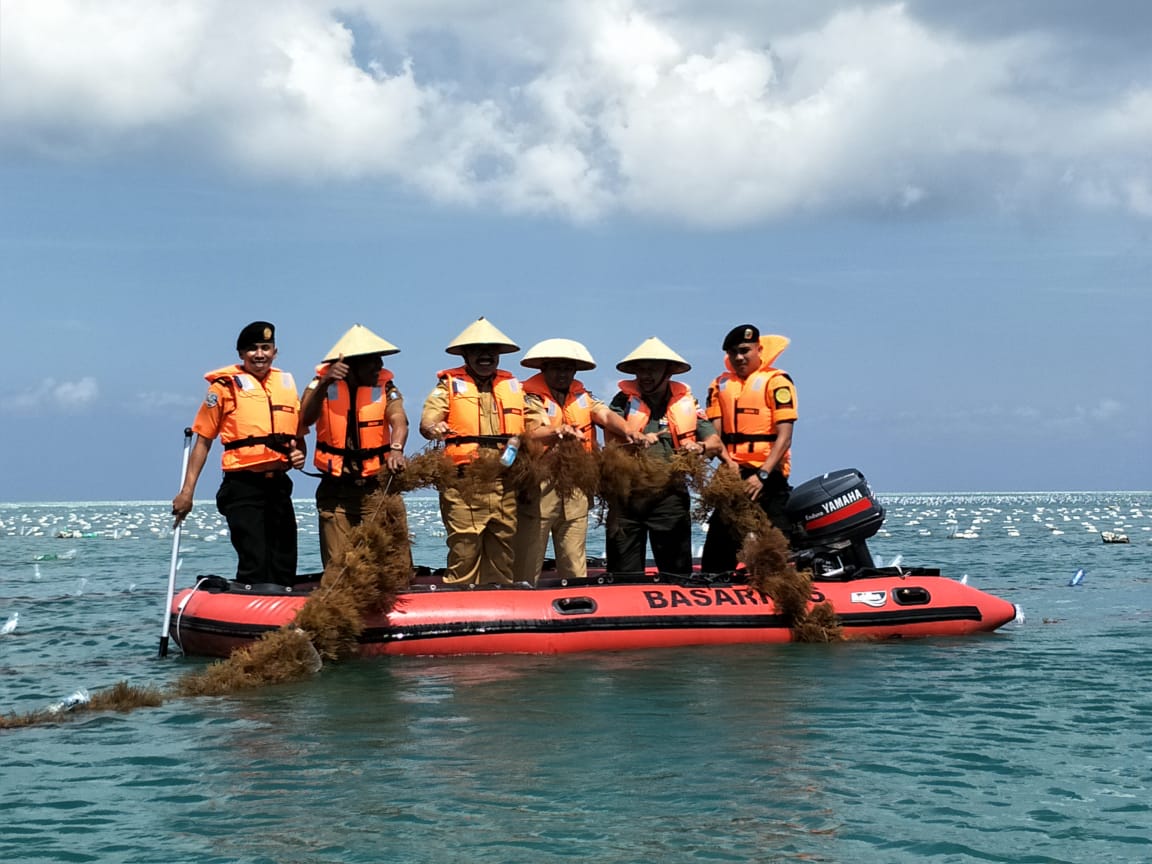 Gamabar proses peninjauan rumput laut