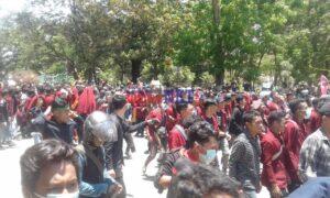 Data KSR PMI UHO, Korban Demo di Kendari Capai 67 Orang Mahasiswa