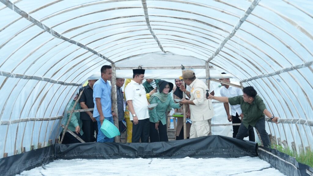 Pemkab Bombana Dukung Penguatan Garam Lokal melalui Panen Bersama di Desa Wumbulasa