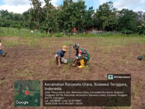 Babinsa Koramil 1431-01/Rumbia Tanam Pohon Rambutan di Kebun Warga Binaan.
