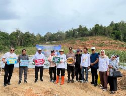 Panen Jagung di Lantouwa, Polri dan Pemkab Bombana Perkuat Program Ketahanan Pangan 2026