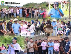 Bupati Bombana Panen Ikan Bersama Warga, Serap Aspirasi Infrastruktur
