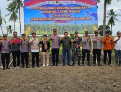 Polres Bombana dan Forkopimda Tanam Jagung Serentak Dukung Swasembada Pangan