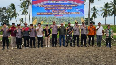 Polres Bombana dan Forkopimda Tanam Jagung Serentak Dukung Swasembada Pangan