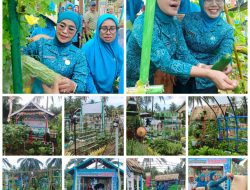 Kebun PKK Lahan Tandus di Bombana Jadi Sumber Pangan Produktif
